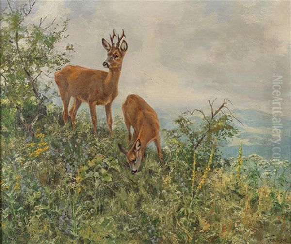 Red Deer On A Mountain Slope In Summer Oil Painting by Erich Dichtl