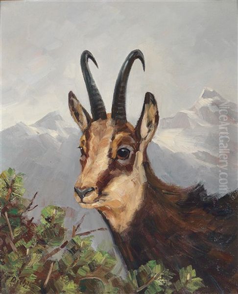 Ein Sanfter Blick (gams) Oil Painting by Erich Dichtl