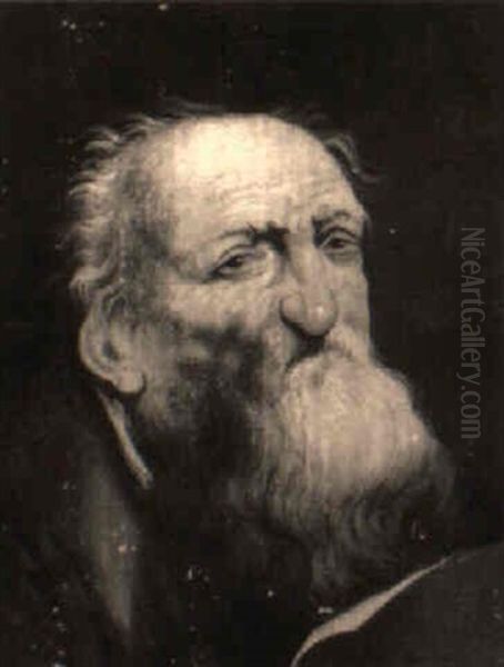 Bildnis Eines Bartigen Mannes Oil Painting by Christian Wilhelm Ernst Dietrich