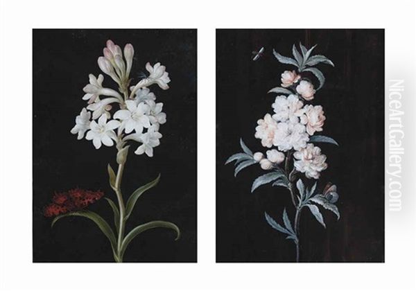 Still Life Of White Flowers And A Butterfly And Still Life Of Dog Roses And Insects (2 Works) Oil Painting by Margaretha-Barbara Dietzsch