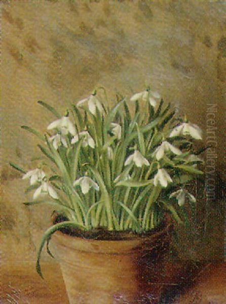 Vintergaekker I En Urtepotte Oil Painting by Augusta Dohlmann