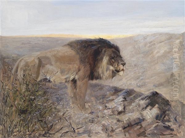 Lowe In Abendlandschaft Oil Painting by Carl von Dombrowski