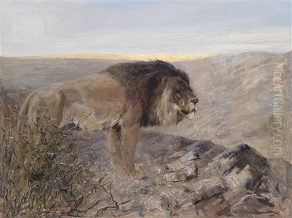 Lowe In Abendlandschaft Oil Painting by Carl von Dombrowski