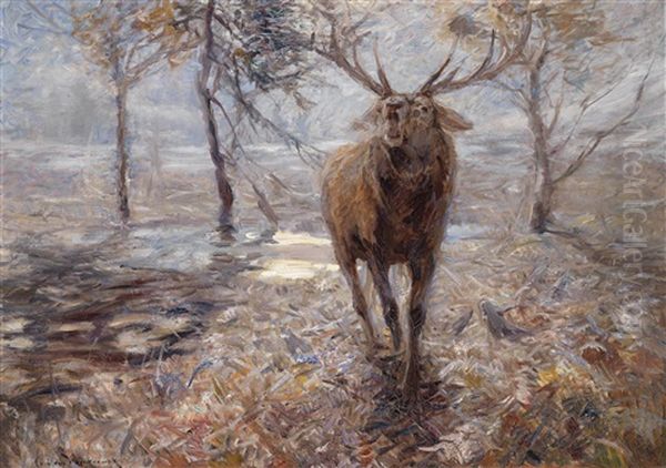 Rohrender Hirsch Oil Painting by Carl von Dombrowski