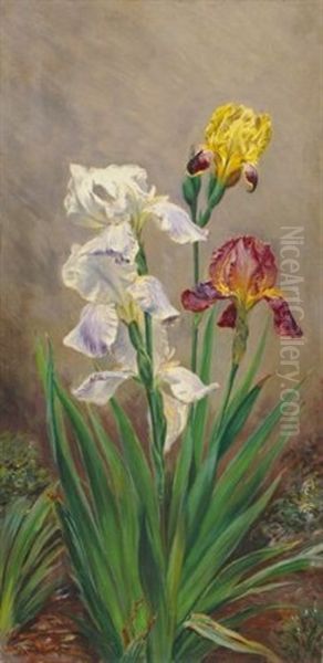 Schwertlilien Oil Painting by Ermenegildo Carlo Giovanni Donadini