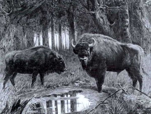 Wiesentbulle Und Wiesentkuh An Einem Wasserloch Im          Hockwald Oil Painting by Ermenegildo Carlo Giovanni Donadini