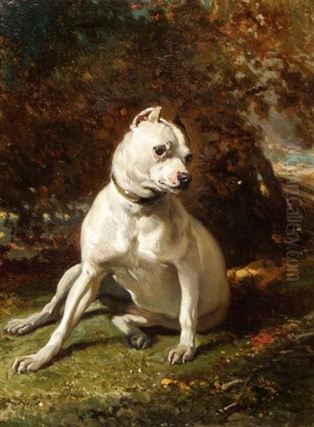 Kleine Bulldogge Oil Painting by Alfred De Dreux