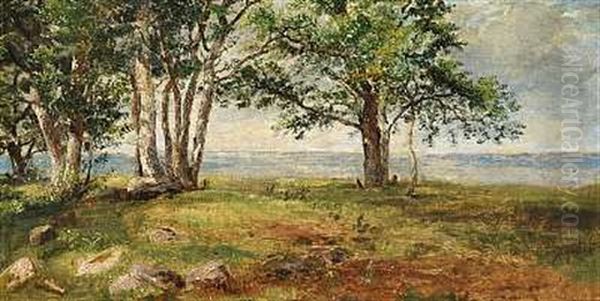 Udsigt Fra Brandso Over Lillebaelt Oil Painting by Dankvart Dreyer