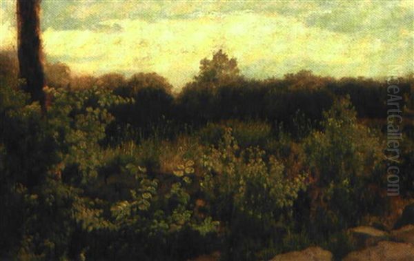 Buske Og Planter Ved Et Stengaerde I Udkanten Af En Skov Oil Painting by Dankvart-Christian-Magnus Dreyer