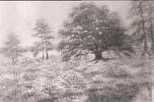 Landscape Oil Painting by Alexander John Drysdale
