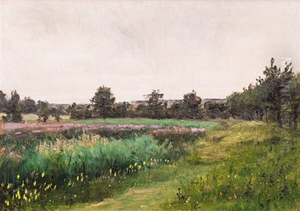 Za Humny Oil Painting by Bohuslav Dvorak