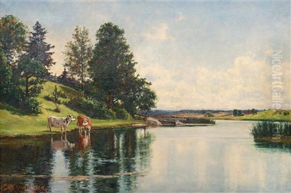 Grazing Cows Oil Painting by Didrik Von Essen