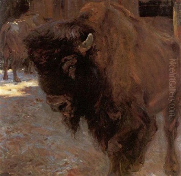 Bison Oil Painting by Carl Fahringer