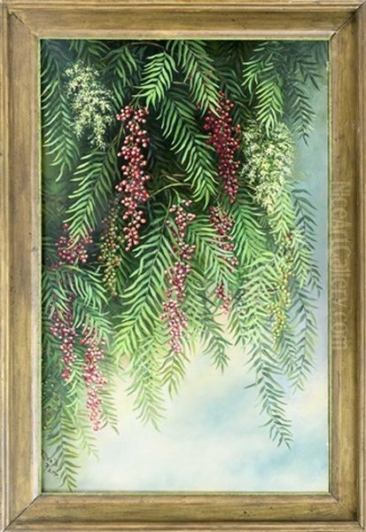 Blossoming Pepper Tree Oil Painting by Ellen Frances Farr