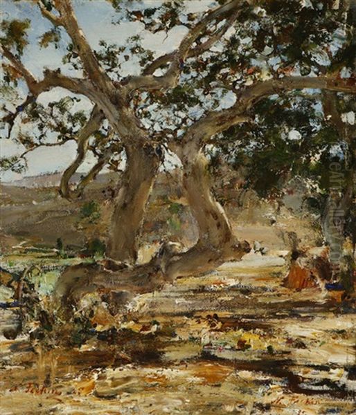 The (sycamore) Tree Oil Painting by Nicolai Ivanovich Fechin