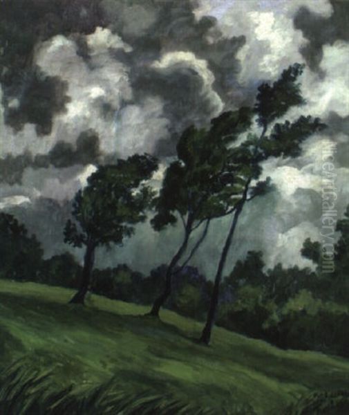Aufziehendes Gewitter Oil Painting by Johannes Fischer