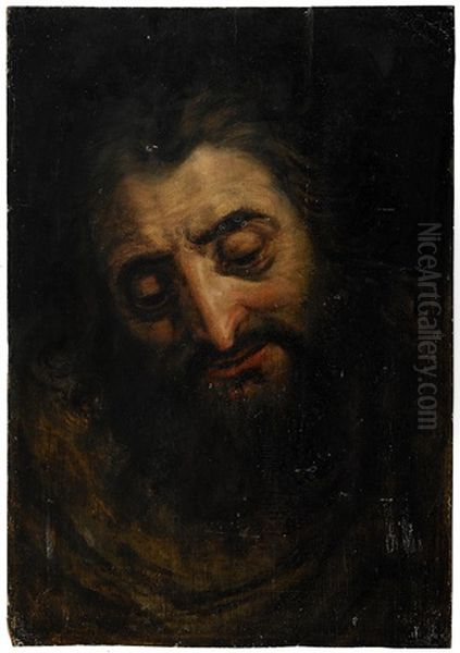 Head Of A Bearded Man Oil Painting by Frans Floris