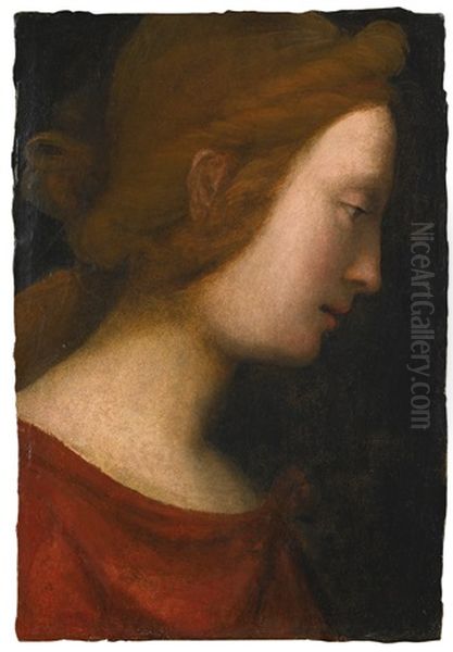 Head Of A Female Saint Seen In Profile Oil Painting by  Fra Bartolommeo