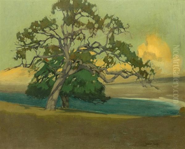 Blue Lagoon Oil Painting by Douglass Fraser