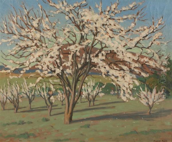 The Prune Tree Oil Painting by Douglass Fraser