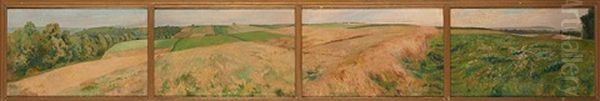 Panoramas D