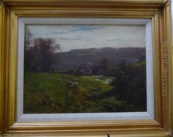 Sheep Grazing In A Sunlit Landscape, North Yorkshire Moors Oil Painting by Arthur A. Friedenson