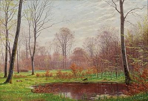 Lovspring I En Bogeskov. Motiv Fra Iselingen Oil Painting by Hans Gabriel Friis