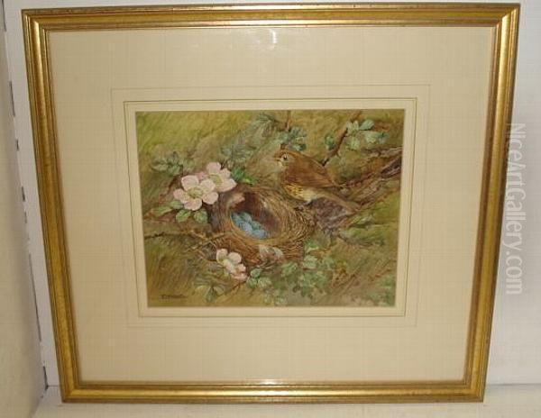 Birds Nest And Flowers Oil Painting by Reginald Harry Austin