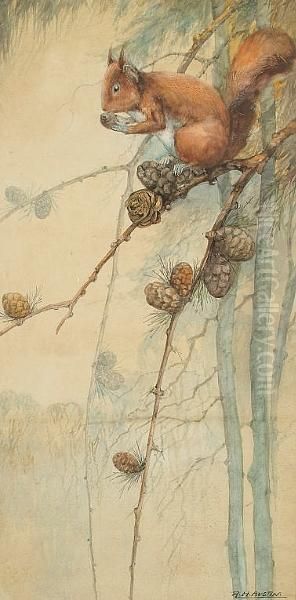 A Squirrel Eating A Nut On A Branch Oil Painting by Reginald Harry Austin