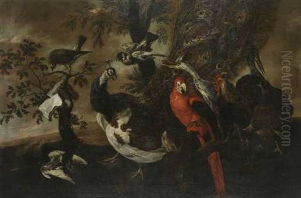 Das Vogelkonzert Oil Painting by Jan Fyt