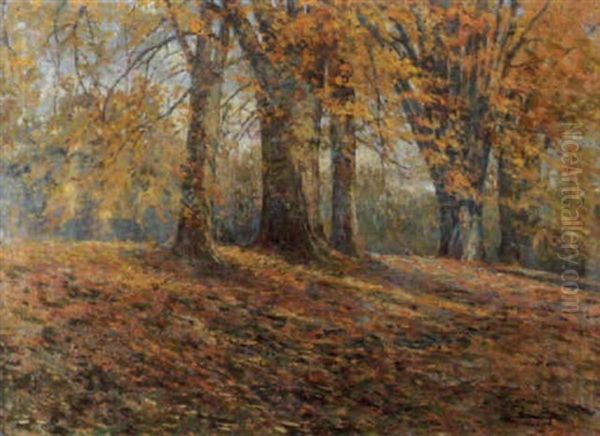 Herbstliche Waldlandschaft Oil Painting by Gioacchino Galbusera
