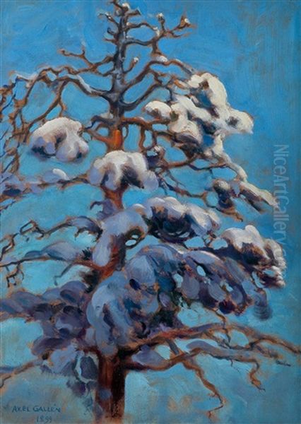 Snowy Pine-tree Oil Painting by Akseli Valdemar Gallen-Kallela