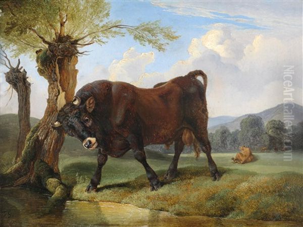 Stier Auf Der Weide Oil Painting by Friedrich Gauermann