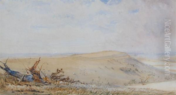 Study Of Trees Oil Painting by Thomas Brabazon Aylmer