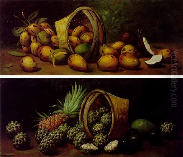 Mangos Y Cocos Oil Painting by Juan Gil Garca