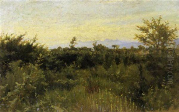 Bosco A Fauglia, 1892 Oil Painting by Luigi Gioli