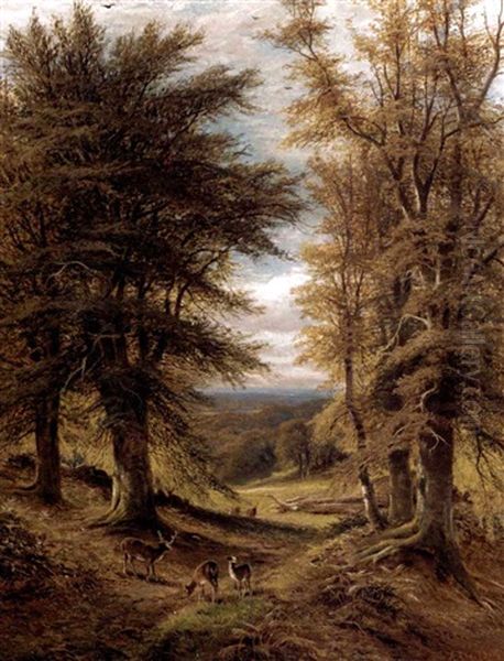 Deer In A Woodland Clearing Oil Painting by Alfred Augustus Glendening Sr.