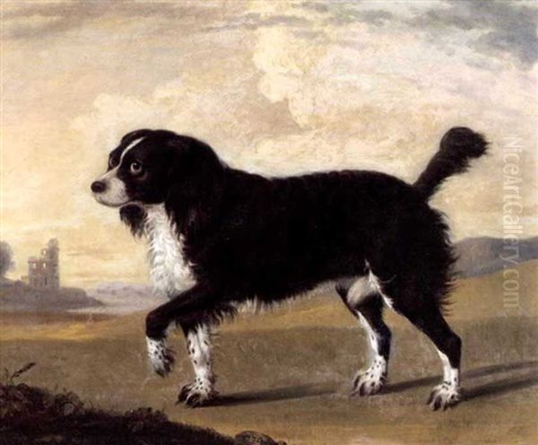 A Spaniel Oil Painting by Thomas Gooch