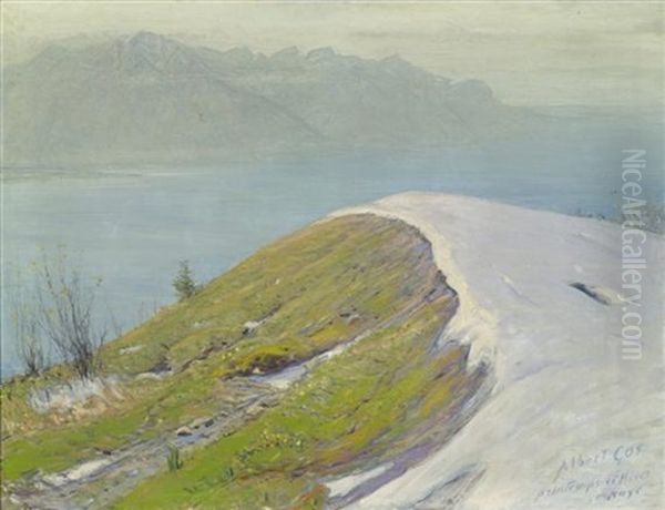Printemps Et Hiver A Naye Oil Painting by Albert Henri John Gos