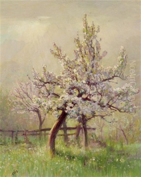 Pommier En Fleurs Oil Painting by Albert Henri John Gos