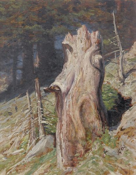 Waldlichtung Mit Baumstrunk Oil Painting by Albert Henri John Gos