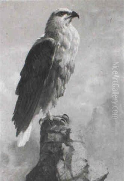 A Study Of A Fish Eagle Oil Painting by Ernest Henri Griset