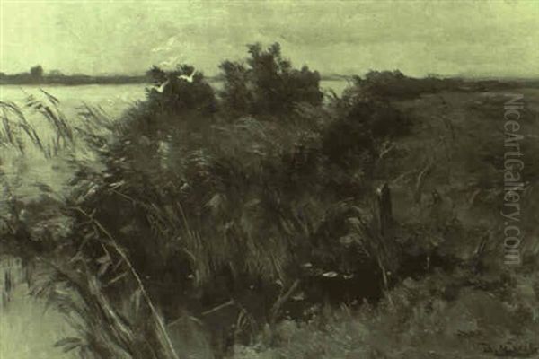 Seeufer Mit Auffliegenden Enten Oil Painting by Johannes Hubertus Leonardus de Haas
