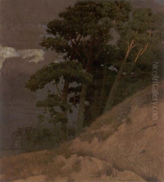 Kiefern Am Sandberg Oil Painting by Rudolf Hacke