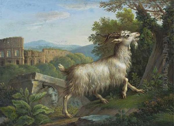 A Goat Eating By The Colosseum, Rome Oil Painting by Jacob Philipp Hackert