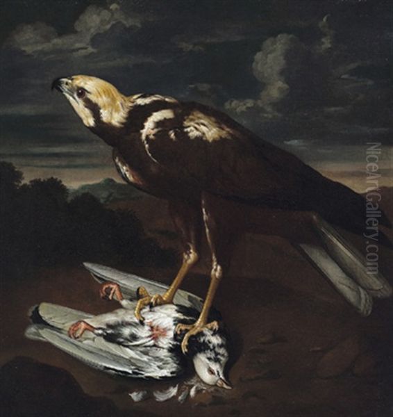Bildnis Eines Falken In Einer Landschaft Oil Painting by Philipp Ferdinand de Hamilton