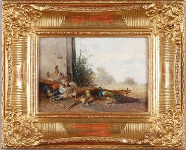 Pfau Und Federvieh Oil Painting by Max Josef Haenger Sr.