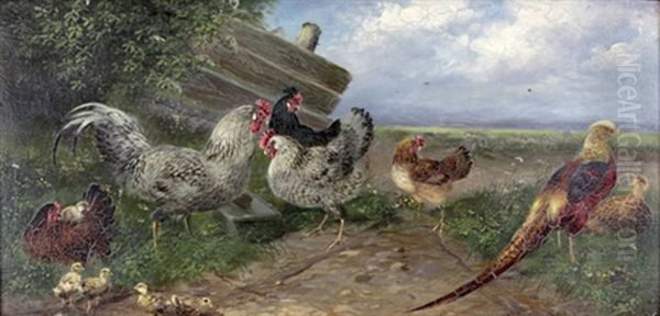 Huhner Mit Fasan Und Rebhuhn Oil Painting by Max Josef Haenger Sr.