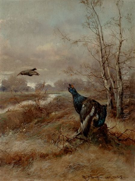Balzender Birkhahn Oil Painting by Max Josef Haenger Sr.