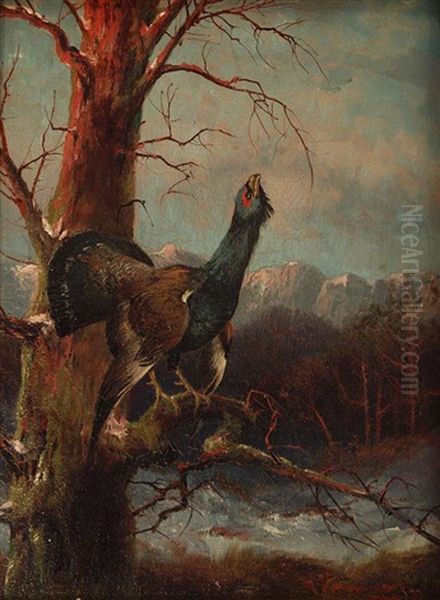 Balzender Auerhahn In Gebirgslandschaft Oil Painting by Max Josef Haenger Sr.